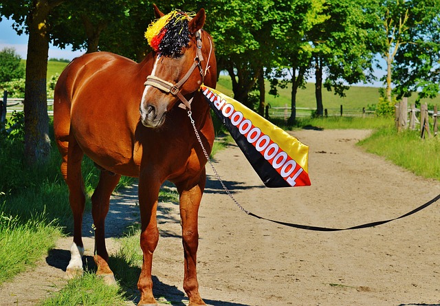 奇才新阵容组合引发热议